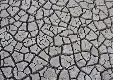 Cracks on very dry land