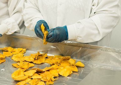 Man examining food in a factory