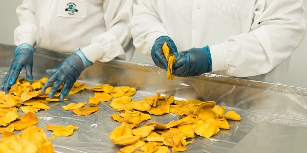 Man examining food in a factory