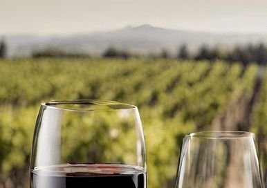 two wine glasses in front of a vineyard