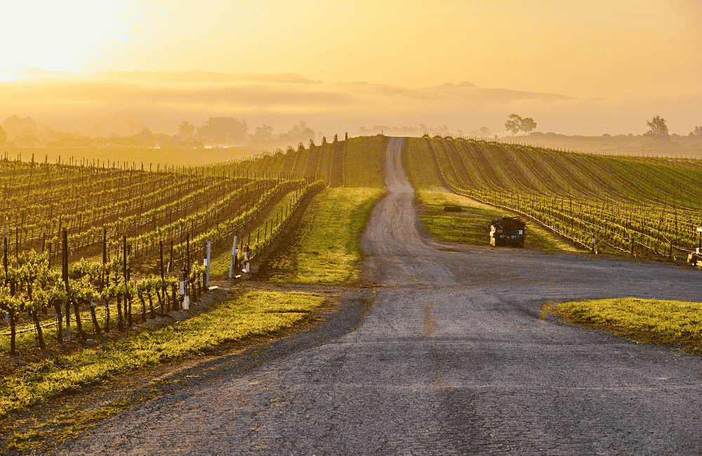 Wine Country Living